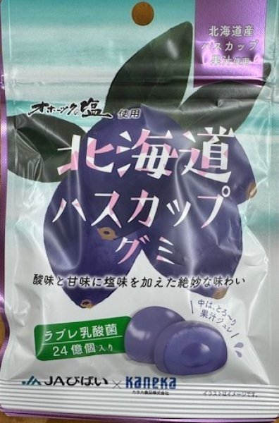 画像1: 北海道ハスカップグミ (1)