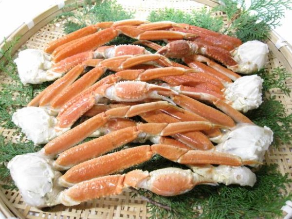 画像1: ズワイガニ足　１Ｋｇ（肩）　袋入 (1)