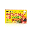 画像1: ソラチ　スープカレーの素　４食 (1)